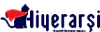 Ajans Hiyerarşi