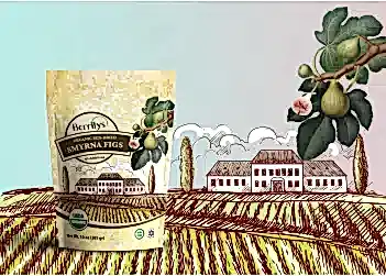 Berrilys Gıda Kuru Meyve Ambalaj Tasarımı